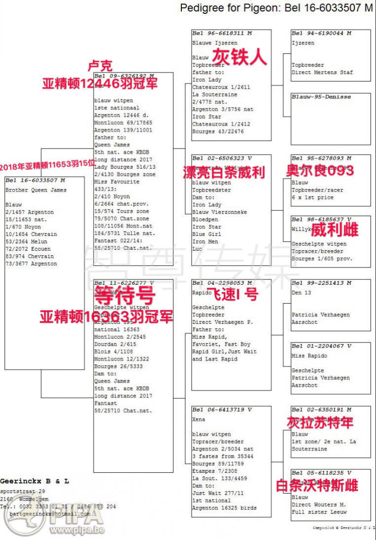 比利时沃默尔海姆的巴特&尤根.吉林克斯摘得亚精