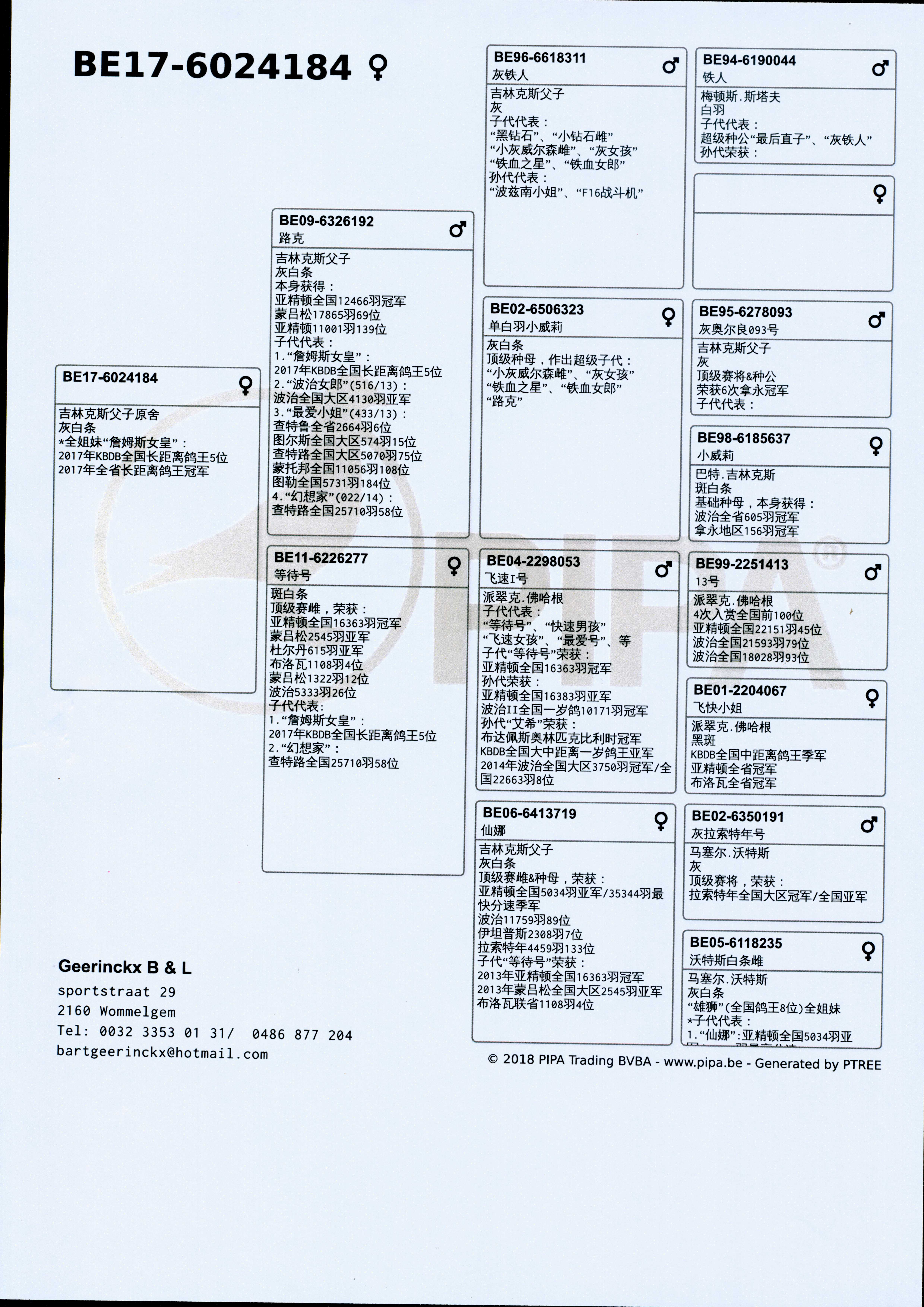 恭贺吉林克斯荣获安特卫普全省冠军！