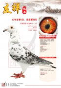 22年省赛6名，速度赛冠军